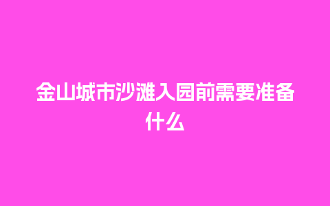 金山城市沙滩入园前需要准备什么