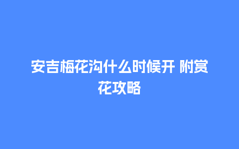 安吉梅花沟什么时候开 附赏花攻略