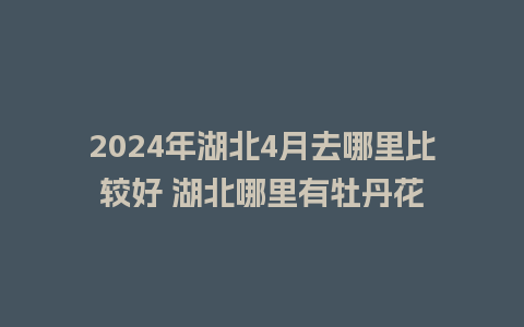 2024年湖北4月去哪里比较好 湖北哪里有牡丹花