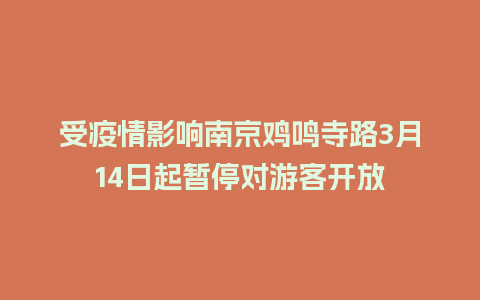 受疫情影响南京鸡鸣寺路3月14日起暂停对游客开放