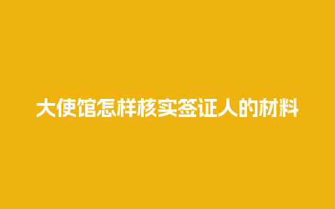 大使馆怎样核实签证人的材料