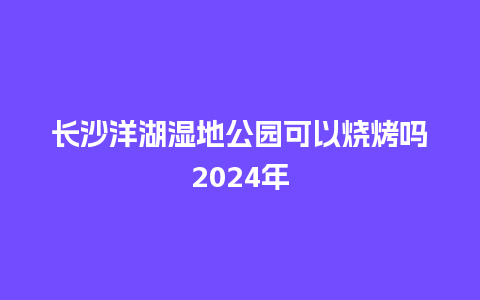 长沙洋湖湿地公园可以烧烤吗2024年