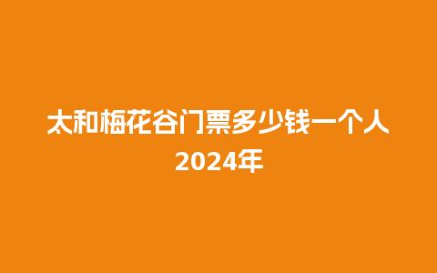 太和梅花谷门票多少钱一个人2024年