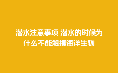 潜水注意事项 潜水的时候为什么不能触摸海洋生物