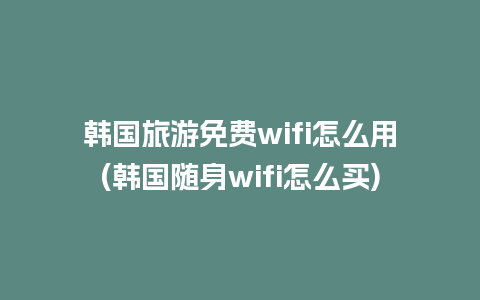 韩国旅游免费wifi怎么用(韩国随身wifi怎么买)