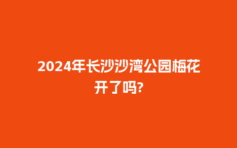 2024年长沙沙湾公园梅花开了吗?