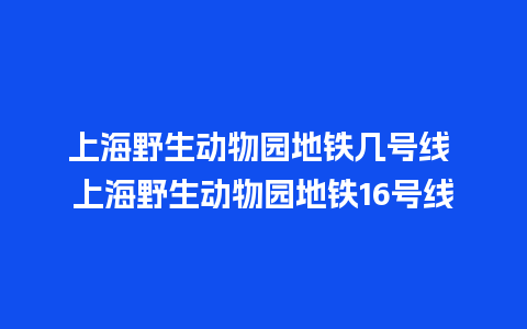 上海野生动物园地铁几号线 上海野生动物园地铁16号线