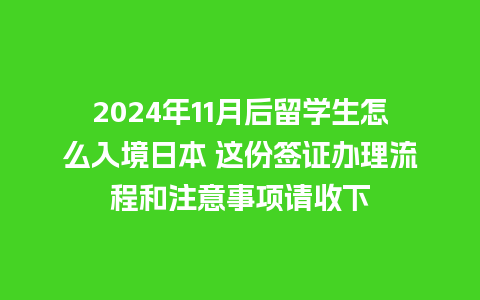 2024年11月后留学生怎么入境日本 这份签证办理流程和注意事项请收下