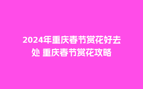 2024年重庆春节赏花好去处 重庆春节赏花攻略