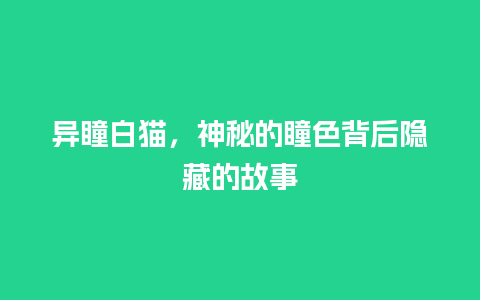 异瞳白猫，神秘的瞳色背后隐藏的故事