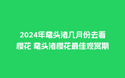 2024年鼋头渚几月份去看樱花 鼋头渚樱花最佳观赏期