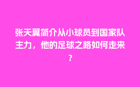 张天翼简介从小球员到国家队主力，他的足球之路如何走来？