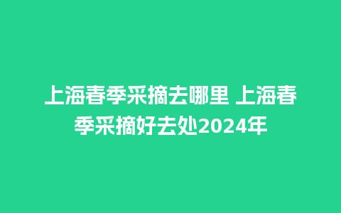 上海春季采摘去哪里 上海春季采摘好去处2024年