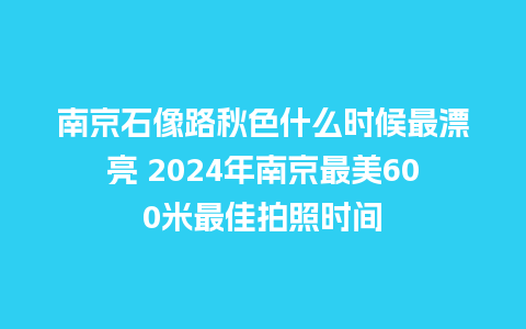 南京石像路秋色什么时候最漂亮 2024年南京最美600米最佳拍照时间