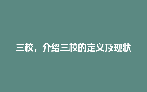 三校，介绍三校的定义及现状