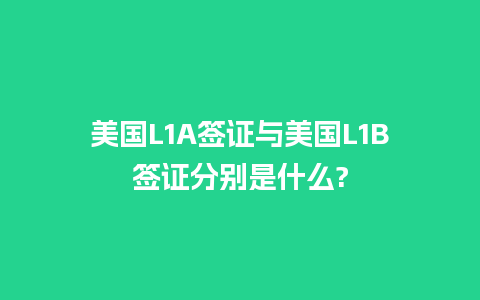 美国L1A签证与美国L1B签证分别是什么?