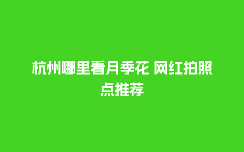 杭州哪里看月季花 网红拍照点推荐