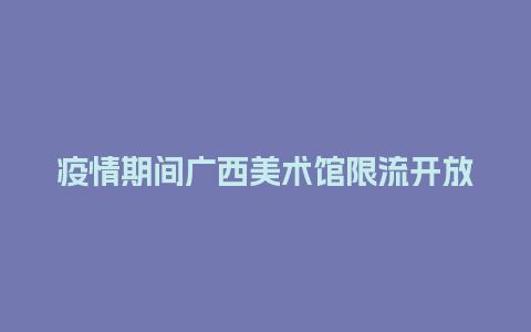 疫情期间广西美术馆限流开放