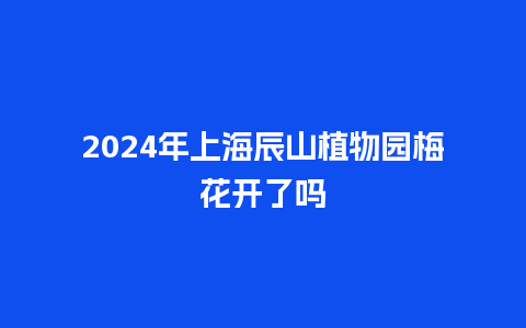 2024年上海辰山植物园梅花开了吗