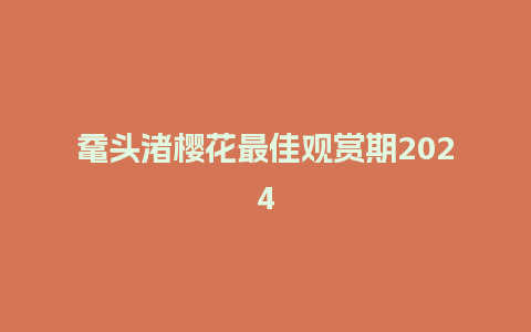 鼋头渚樱花最佳观赏期2024