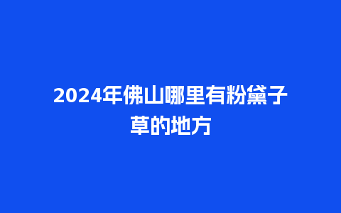 2024年佛山哪里有粉黛子草的地方