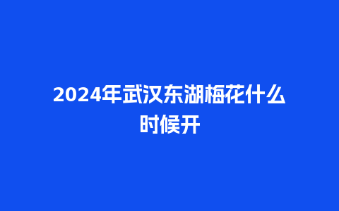 2024年武汉东湖梅花什么时候开