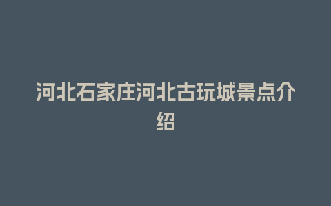 河北石家庄河北古玩城景点介绍