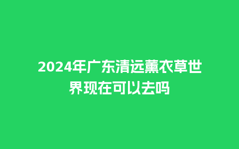 2024年广东清远薰衣草世界现在可以去吗