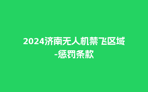 2024济南无人机禁飞区域-惩罚条款