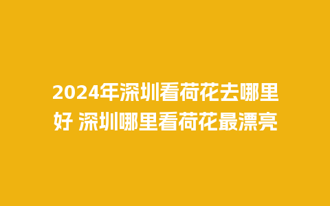 2024年深圳看荷花去哪里好 深圳哪里看荷花最漂亮