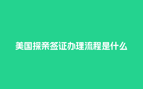 美国探亲签证办理流程是什么