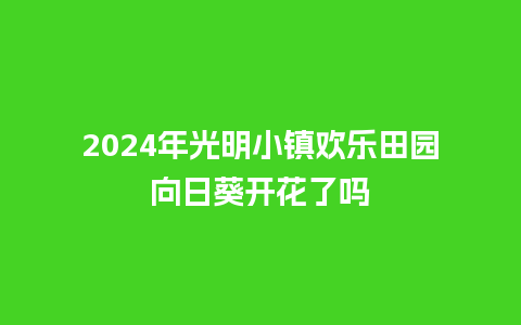 2024年光明小镇欢乐田园向日葵开花了吗