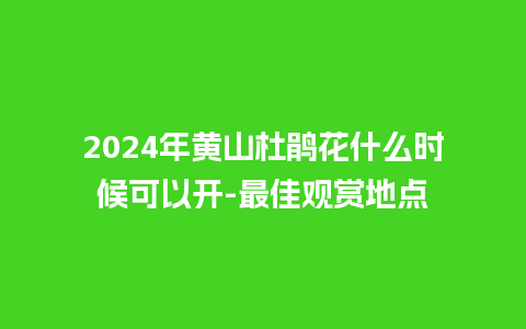 2024年黄山杜鹃花什么时候可以开-最佳观赏地点