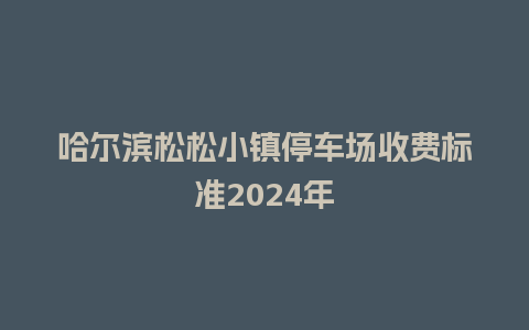 哈尔滨松松小镇停车场收费标准2024年