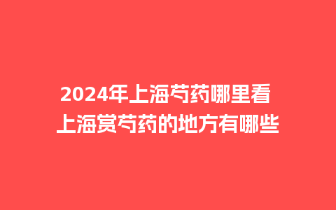 2024年上海芍药哪里看 上海赏芍药的地方有哪些