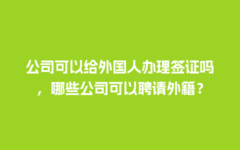 公司可以给外国人办理签证吗，哪些公司可以聘请外籍？