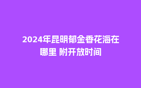 2024年昆明郁金香花海在哪里 附开放时间