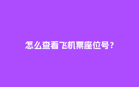 怎么查看飞机票座位号？