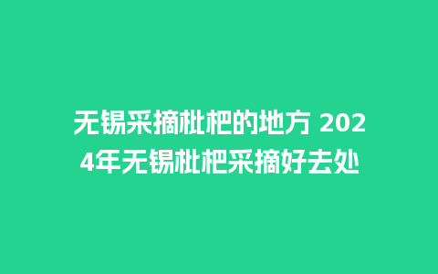 无锡采摘枇杷的地方 2024年无锡枇杷采摘好去处