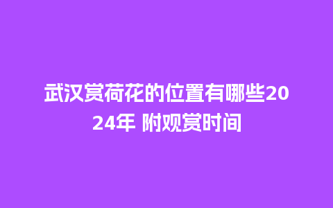 武汉赏荷花的位置有哪些2024年 附观赏时间