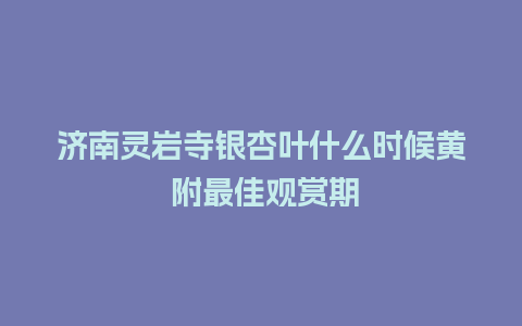 济南灵岩寺银杏叶什么时候黄 附最佳观赏期