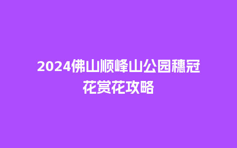 2024佛山顺峰山公园穗冠花赏花攻略