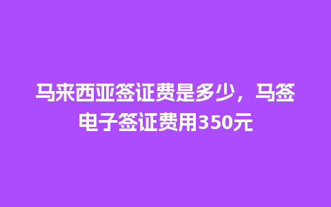 马来西亚签证费是多少，马签电子签证费用350元