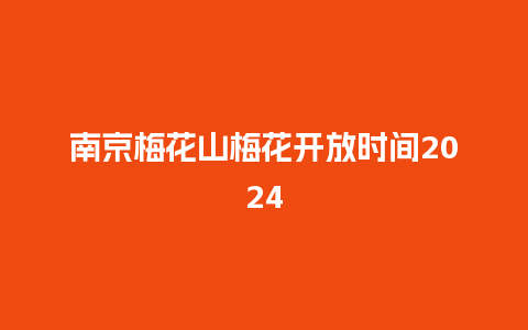 南京梅花山梅花开放时间2024