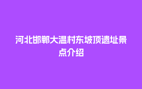 河北邯郸大温村东坡顶遗址景点介绍