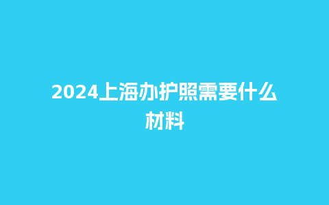 2024上海办护照需要什么材料