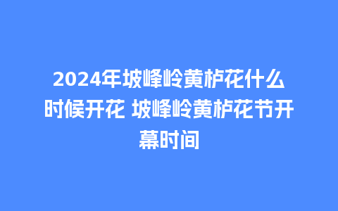 2024年坡峰岭黄栌花什么时候开花 坡峰岭黄栌花节开幕时间