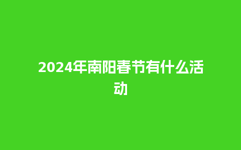 2024年南阳春节有什么活动