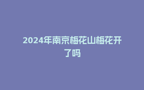 2024年南京梅花山梅花开了吗