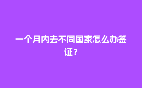 一个月内去不同国家怎么办签证？